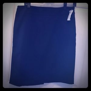 NWT Knee length skirt
